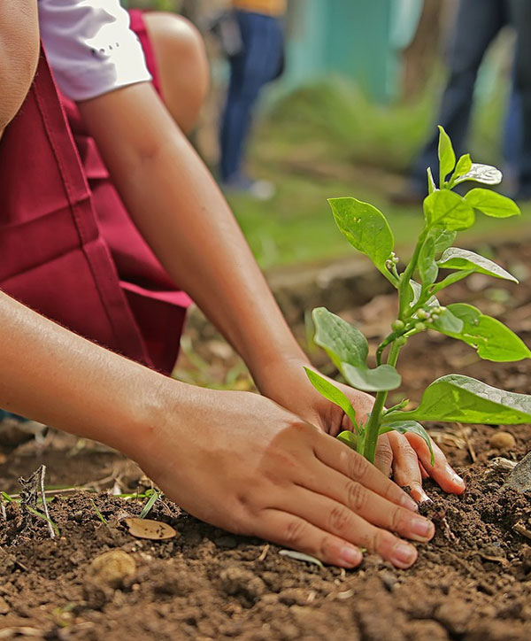 Community members planting crops using agroecological methods