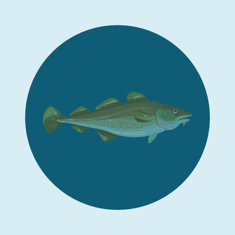 Cod research publication by BalticWaters foundation