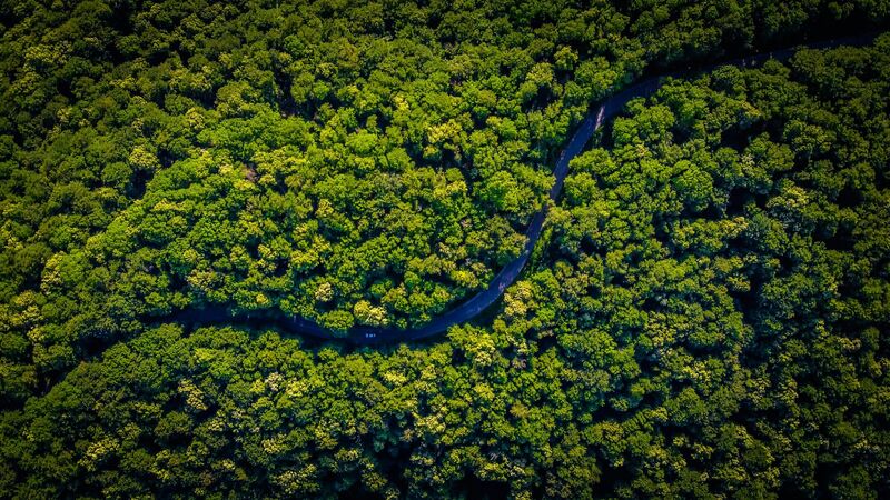 Amazon rainforest landscape representing carbon credit ecosystems