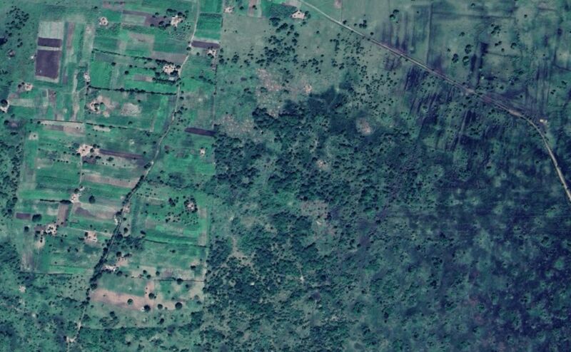 Forest monitoring data showing deforestation tracking