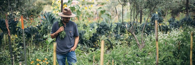 Community members participating in ecosystem restoration