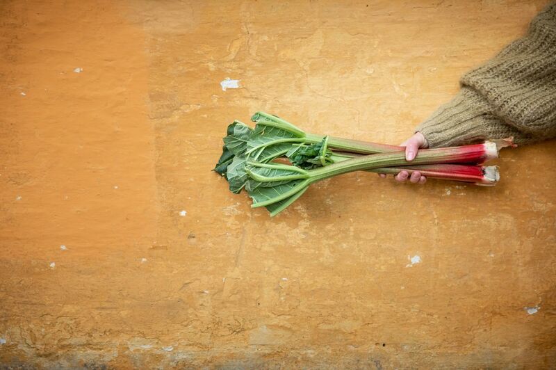 Food system photography from Foodprint Nordic