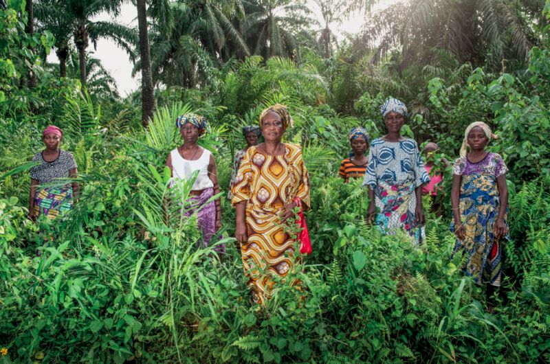 Landscape in Burkina Faso showing restoration work