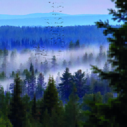 Rewilding Sweden header showing restored natural landscape