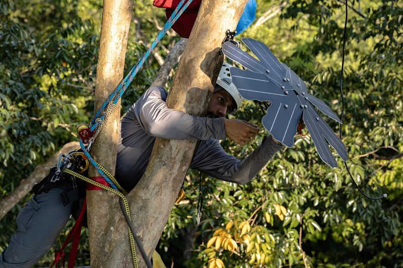 Tropical rainforest landscape monitored by RFCx