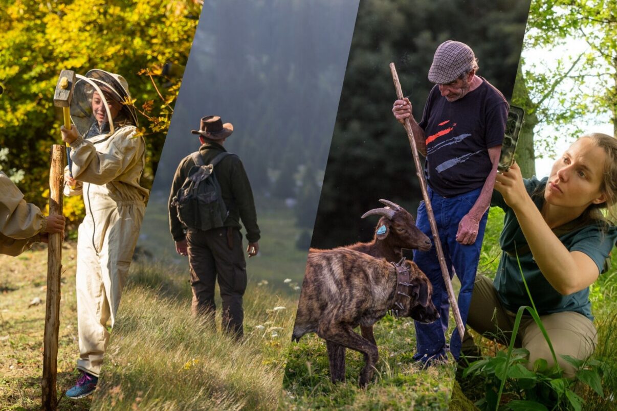 Shepherd with walking stick and goat on mountainside, overlooking valley with village below