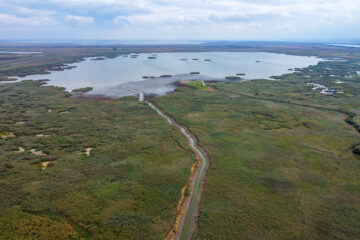 Aerial view of Lake Kartal in Ukraine's Danube Delta, showing reconnected waterways and floodplain